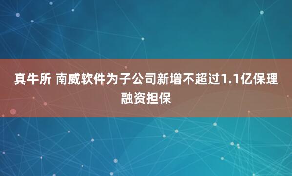 真牛所 南威软件为子公司新增不超过1.1亿保理融资担保