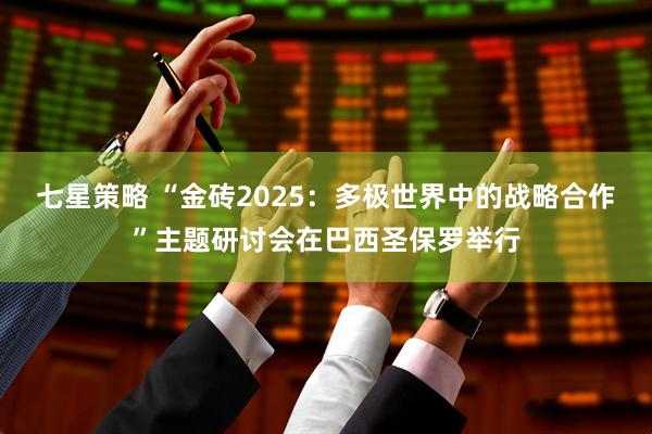 七星策略 “金砖2025：多极世界中的战略合作”主题研讨会在巴西圣保罗举行