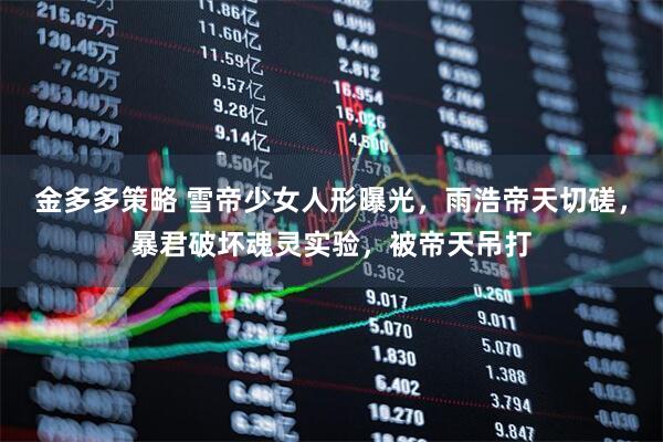 金多多策略 雪帝少女人形曝光，雨浩帝天切磋，暴君破坏魂灵实验，被帝天吊打