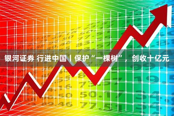 银河证券 行进中国丨保护“一棵树”，创收十亿元