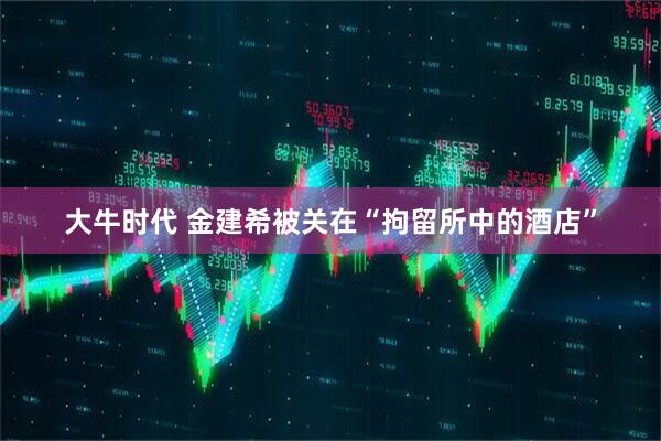 大牛时代 金建希被关在“拘留所中的酒店”