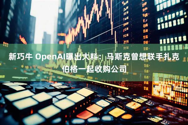 新巧牛 OpenAI曝出大料：马斯克曾想联手扎克伯格一起收购公司