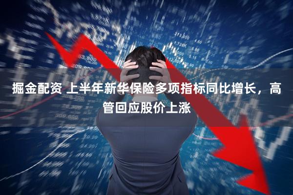 掘金配资 上半年新华保险多项指标同比增长，高管回应股价上涨