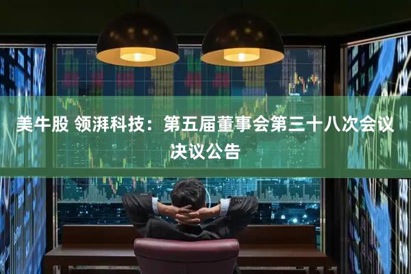 美牛股 领湃科技：第五届董事会第三十八次会议决议公告